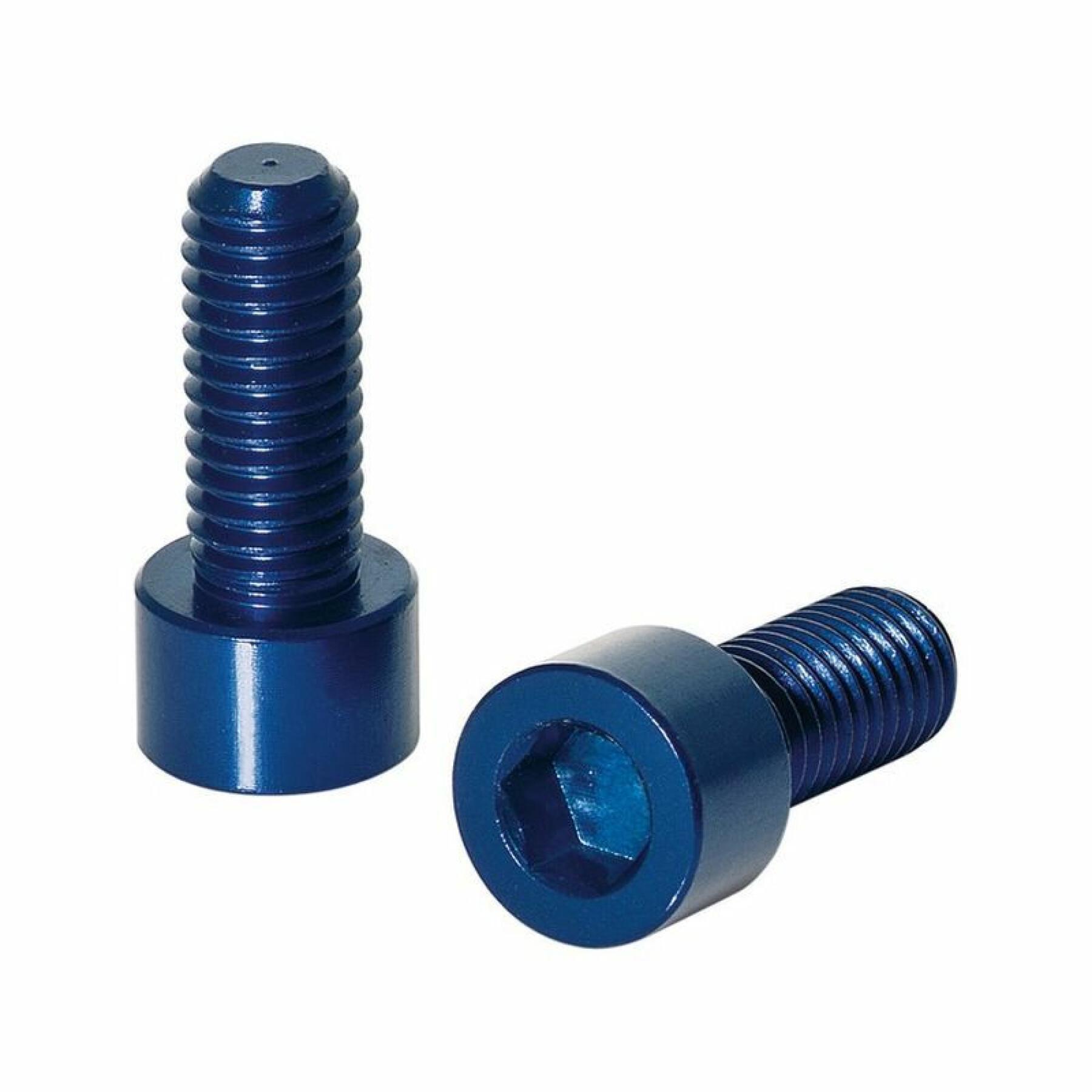 Hexagonal screws for aluminium canister holder XLC bc-x02 5x17 mm
