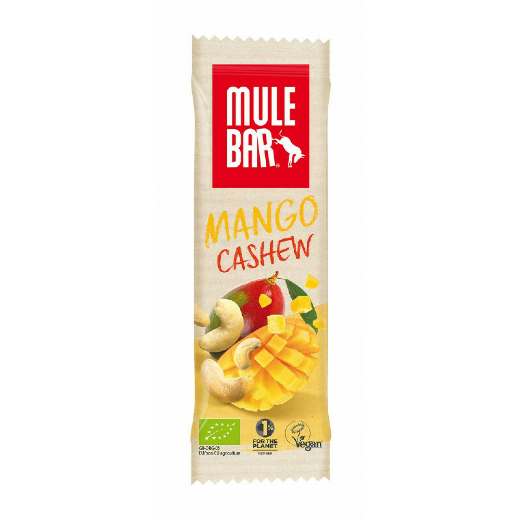 Batch of 15 mango cashew nutrition bars Mulebar 40g