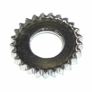 Brake disc with teeth Campagnolo