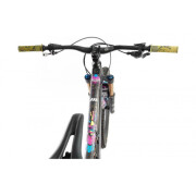 Pack of 10 frame protection kits All Mountain Style Extra Freeride Fiesta