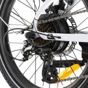 Electric bike rear wheel motor - 375wh alu Kross VAE Flex hybride 1.0
